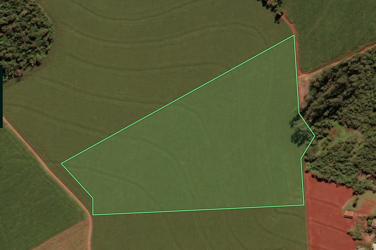 Imagem de satélite do imóvel rural em Medianeira (PR), com o contorno declarado no CAR desenhado por cima.