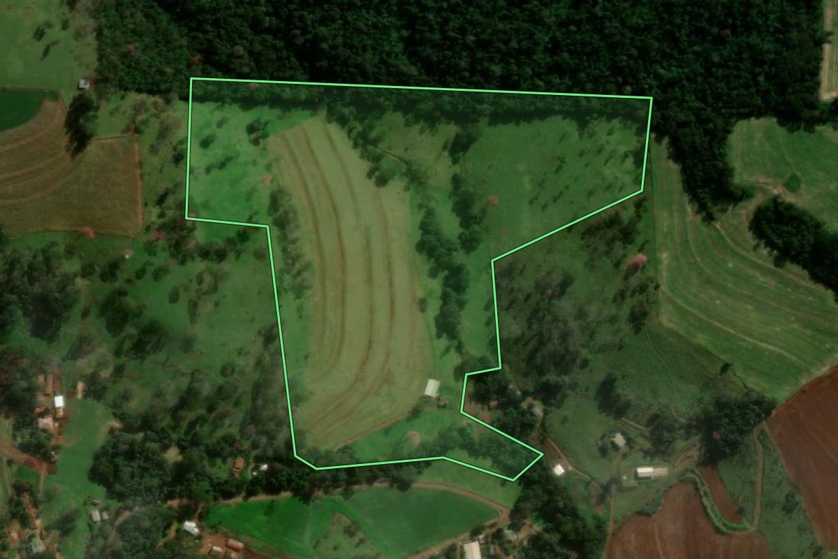 Imagem de satélite do imóvel rural em Medianeira (PR), com o contorno declarado no CAR desenhado por cima.