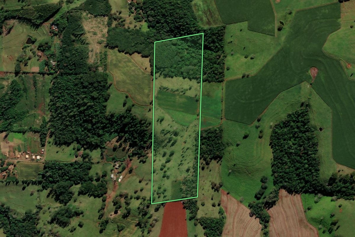 Imagem de satélite do imóvel rural em Medianeira (PR), com o contorno declarado no CAR desenhado por cima.
