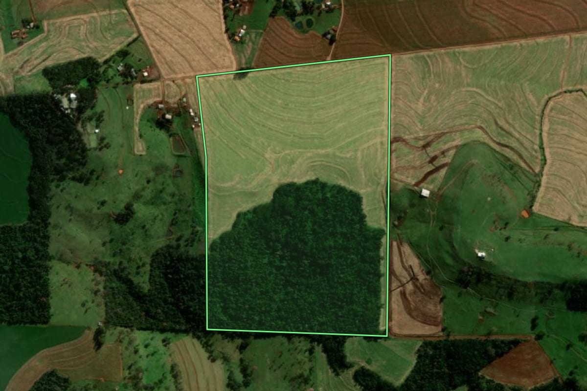 Imagem de satélite do imóvel rural em Medianeira (PR), com o contorno declarado no CAR desenhado por cima.