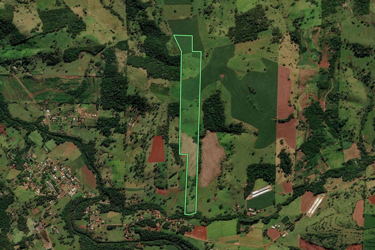 Imagem de satélite do imóvel rural em Medianeira (PR), com o contorno declarado no CAR desenhado por cima.