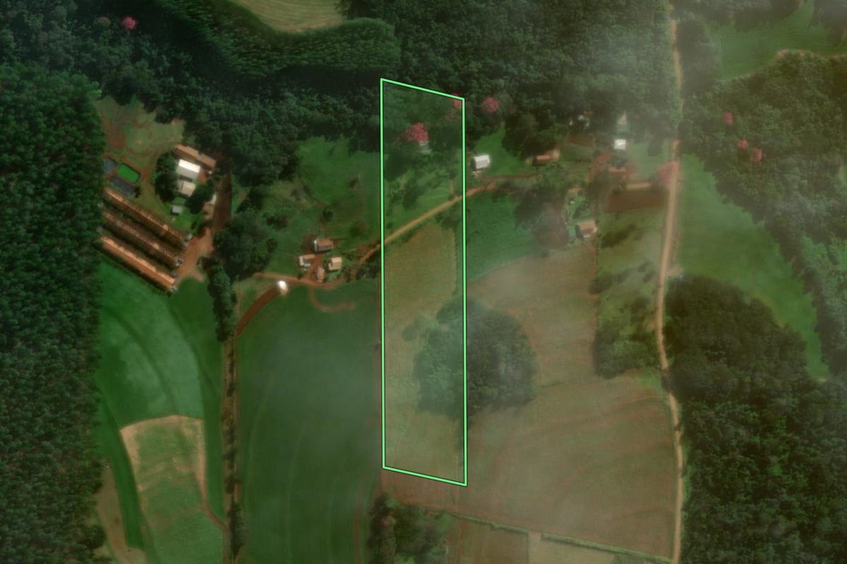 Imagem de satélite do imóvel rural em Medianeira (PR), com o contorno declarado no CAR desenhado por cima.
