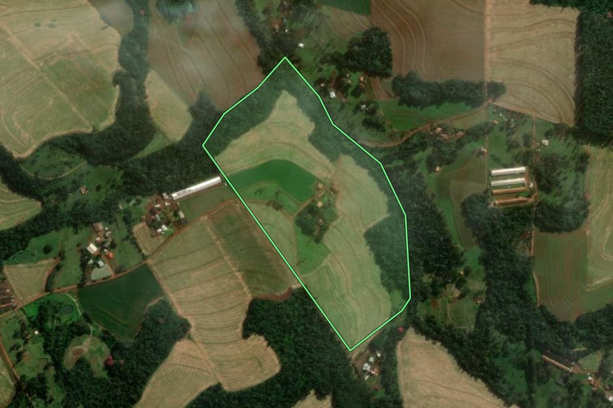 Imagem de satélite do imóvel rural em Medianeira (PR), com o contorno declarado no CAR desenhado por cima.