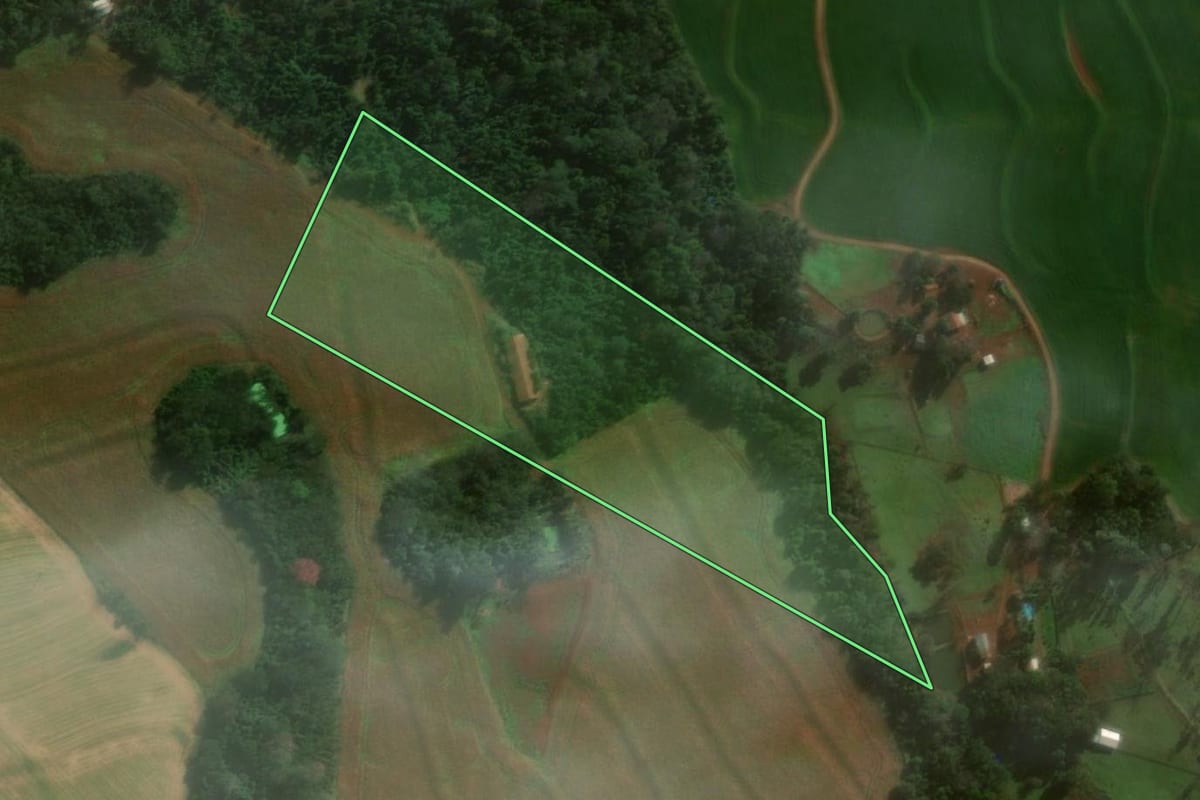 Imagem de satélite do imóvel rural em Medianeira (PR), com o contorno declarado no CAR desenhado por cima.