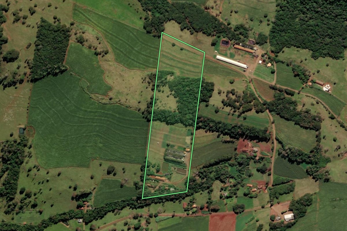 Imagem de satélite do imóvel rural em Medianeira (PR), com o contorno declarado no CAR desenhado por cima.