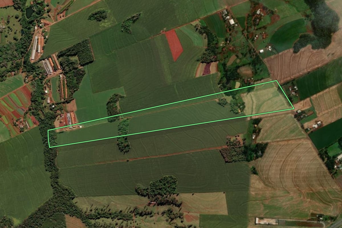 Imagem de satélite do imóvel rural em Medianeira (PR), com o contorno declarado no CAR desenhado por cima.