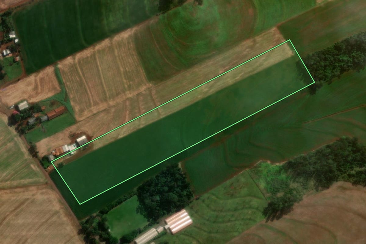 Imagem de satélite do imóvel rural em Medianeira (PR), com o contorno declarado no CAR desenhado por cima.