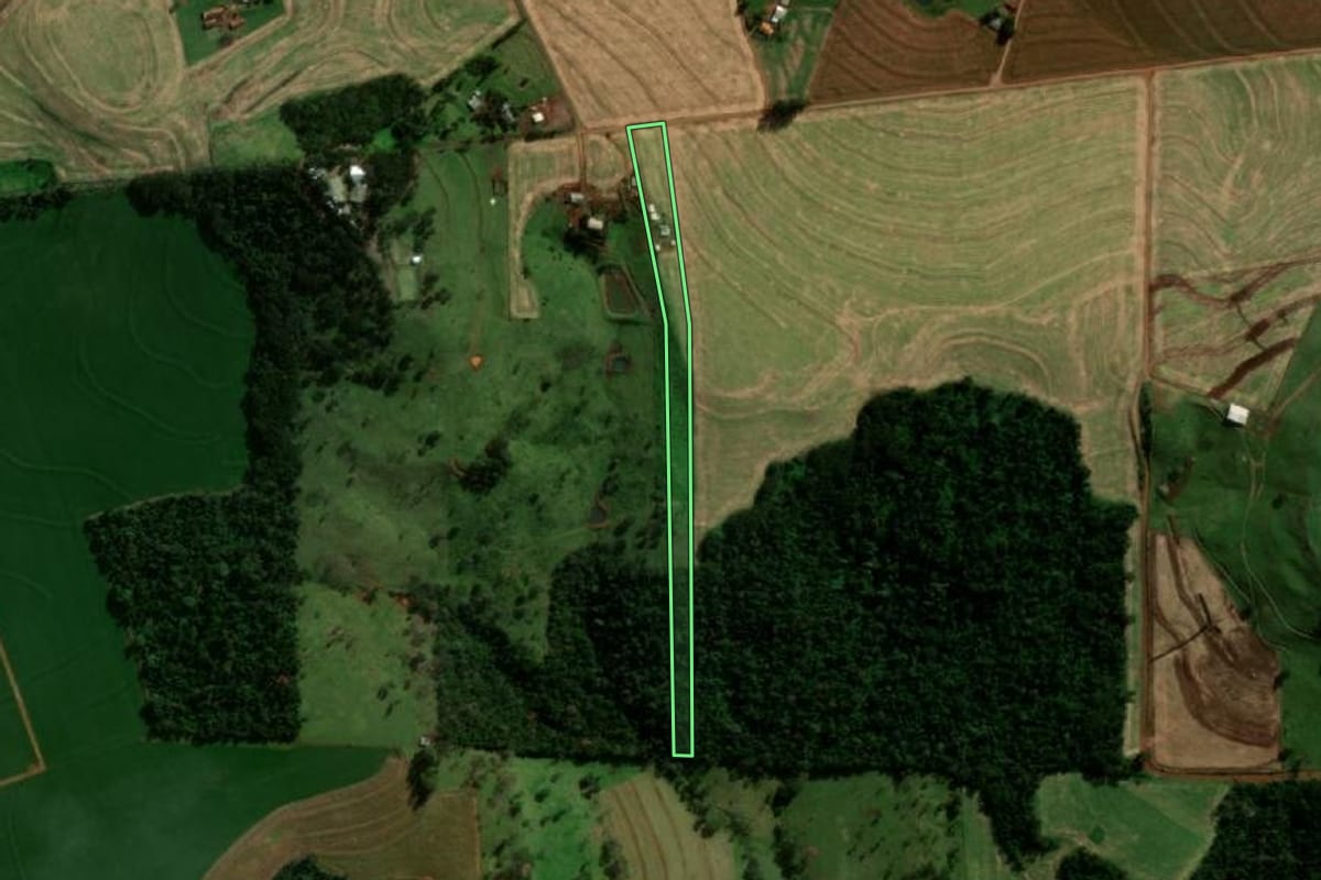 Imagem de satélite do imóvel rural em Medianeira (PR), com o contorno declarado no CAR desenhado por cima.