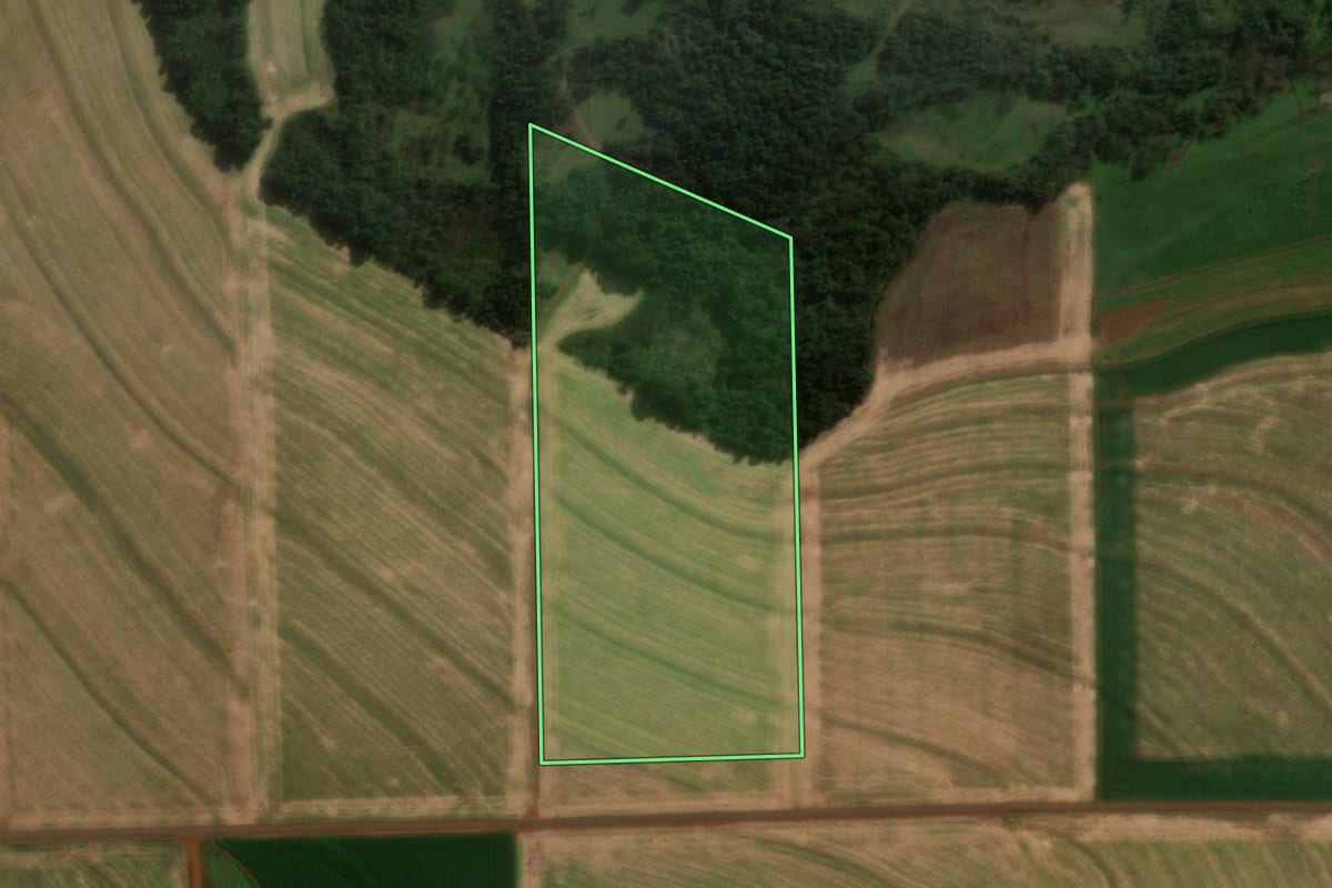 Imagem de satélite do imóvel rural em Medianeira (PR), com o contorno declarado no CAR desenhado por cima.
