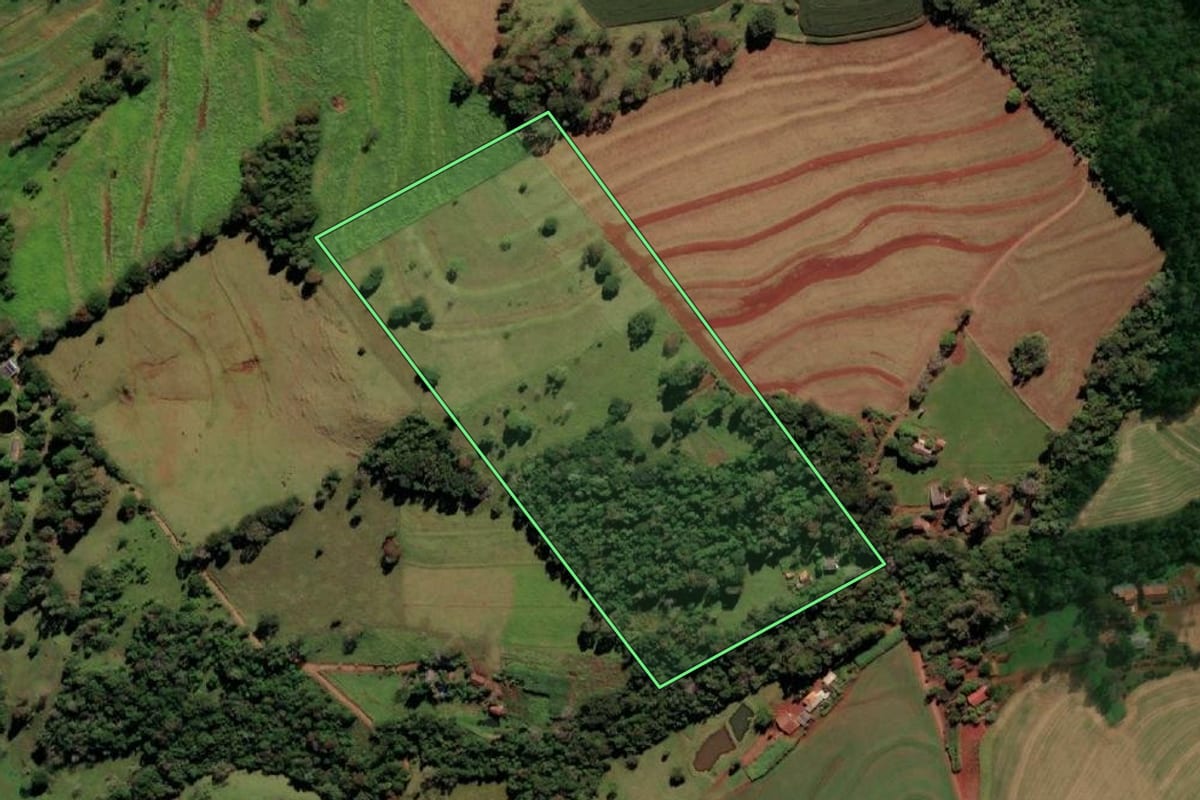 Imagem de satélite do imóvel rural em Medianeira (PR), com o contorno declarado no CAR desenhado por cima.