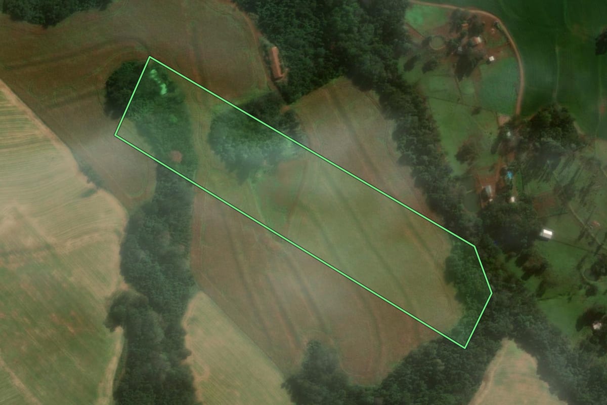 Imagem de satélite do imóvel rural em Medianeira (PR), com o contorno declarado no CAR desenhado por cima.