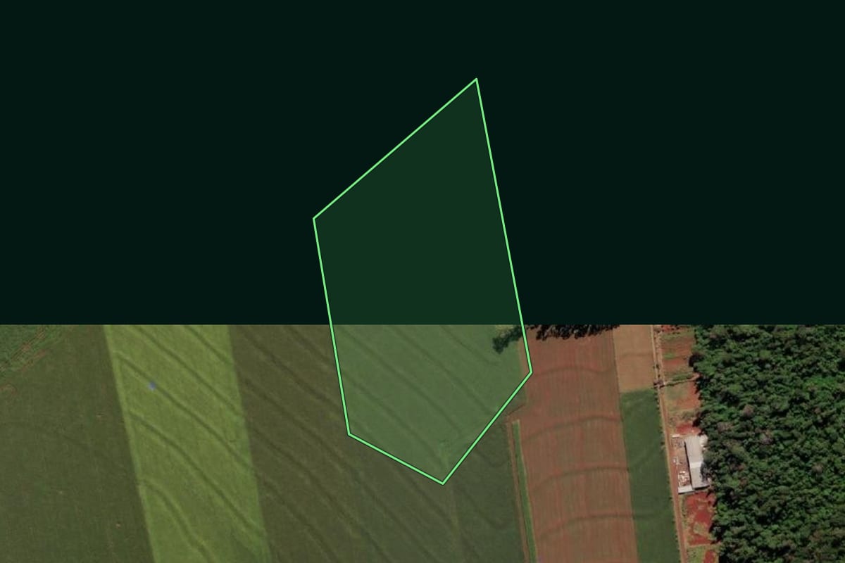 Imagem de satélite do imóvel rural em Medianeira (PR), com o contorno declarado no CAR desenhado por cima.