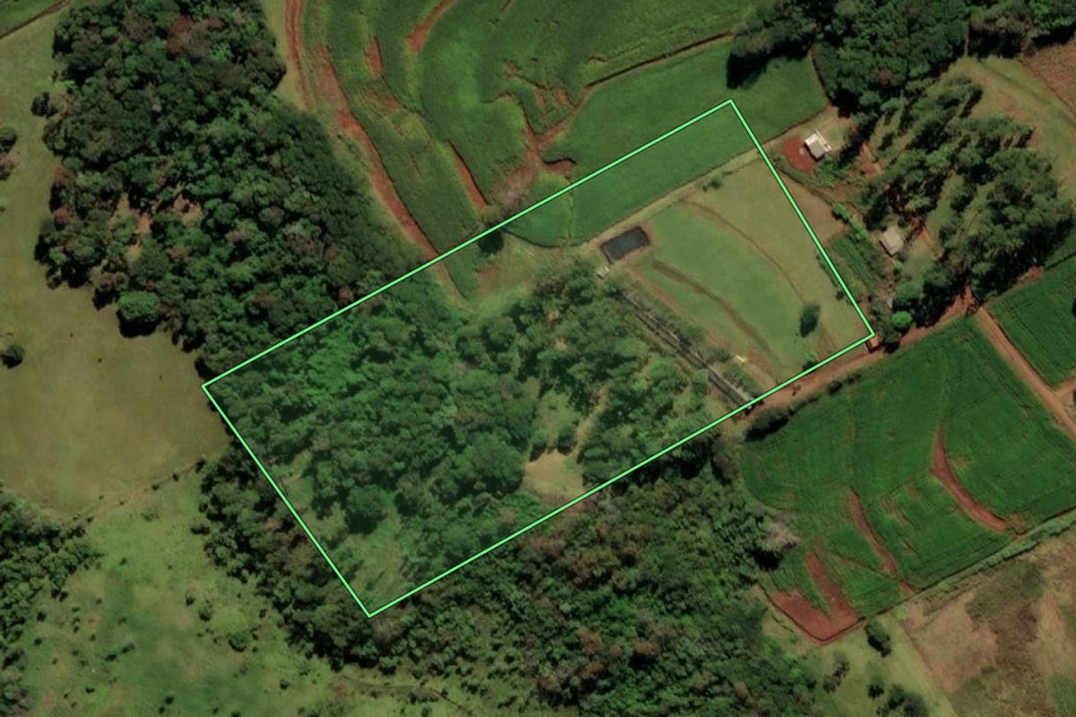 Imagem de satélite do imóvel rural em Medianeira (PR), com o contorno declarado no CAR desenhado por cima.