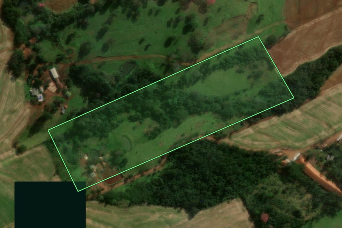 Imagem de satélite do imóvel rural em Medianeira (PR), com o contorno declarado no CAR desenhado por cima.