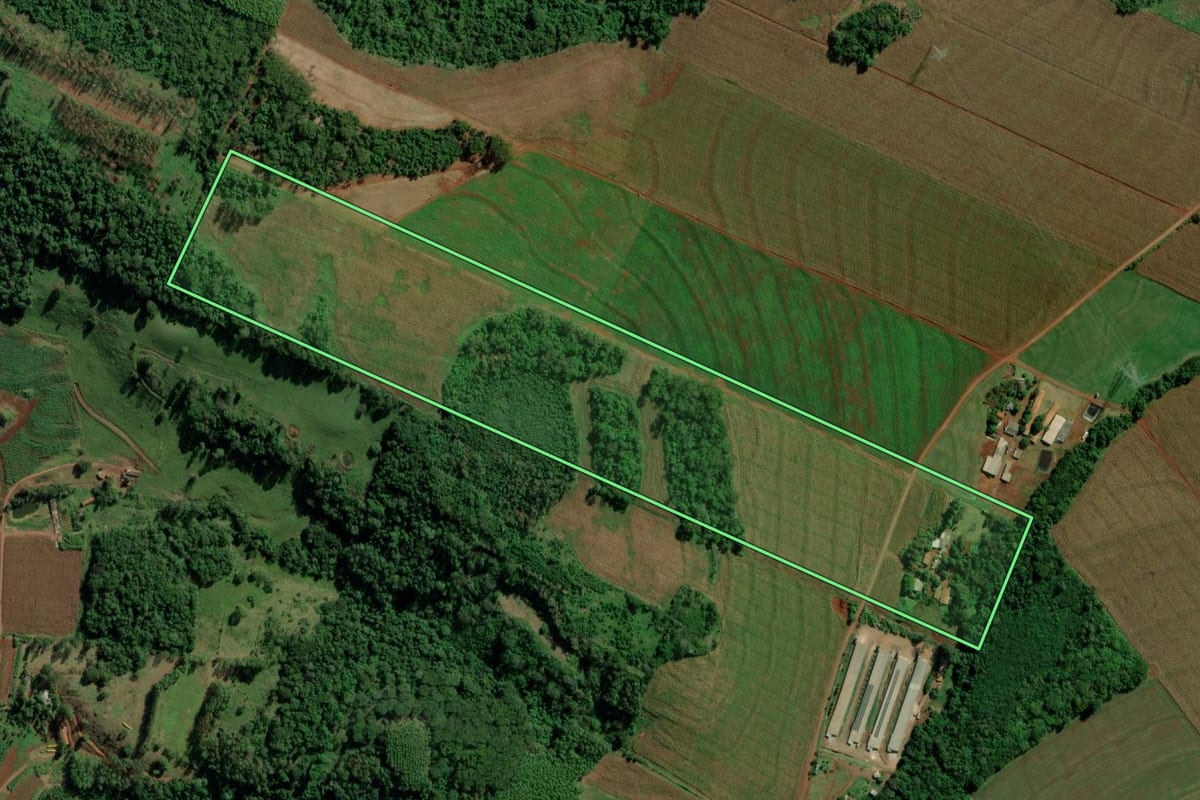 Imagem de satélite do imóvel rural em Mercedes (PR), com o contorno declarado no CAR desenhado por cima.