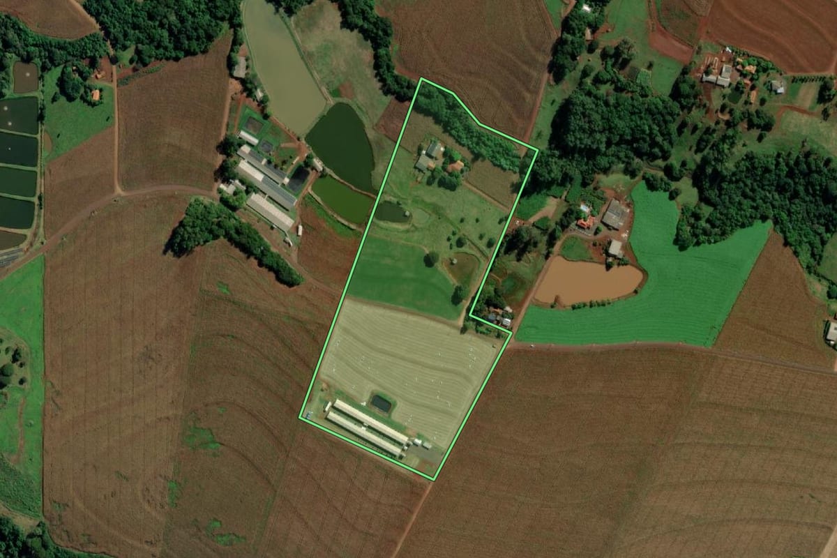 Imagem de satélite do imóvel rural em Mercedes (PR), com o contorno declarado no CAR desenhado por cima.