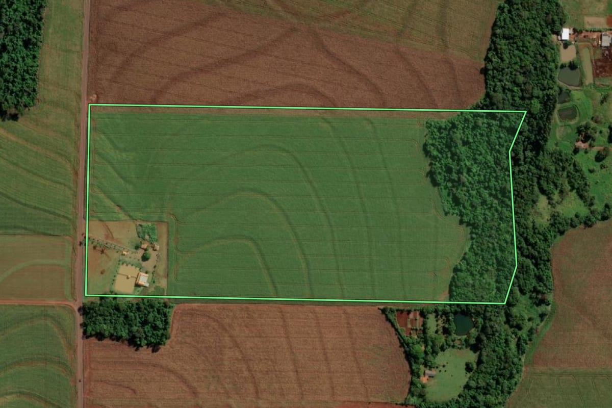 Imagem de satélite do imóvel rural em Mercedes (PR), com o contorno declarado no CAR desenhado por cima.