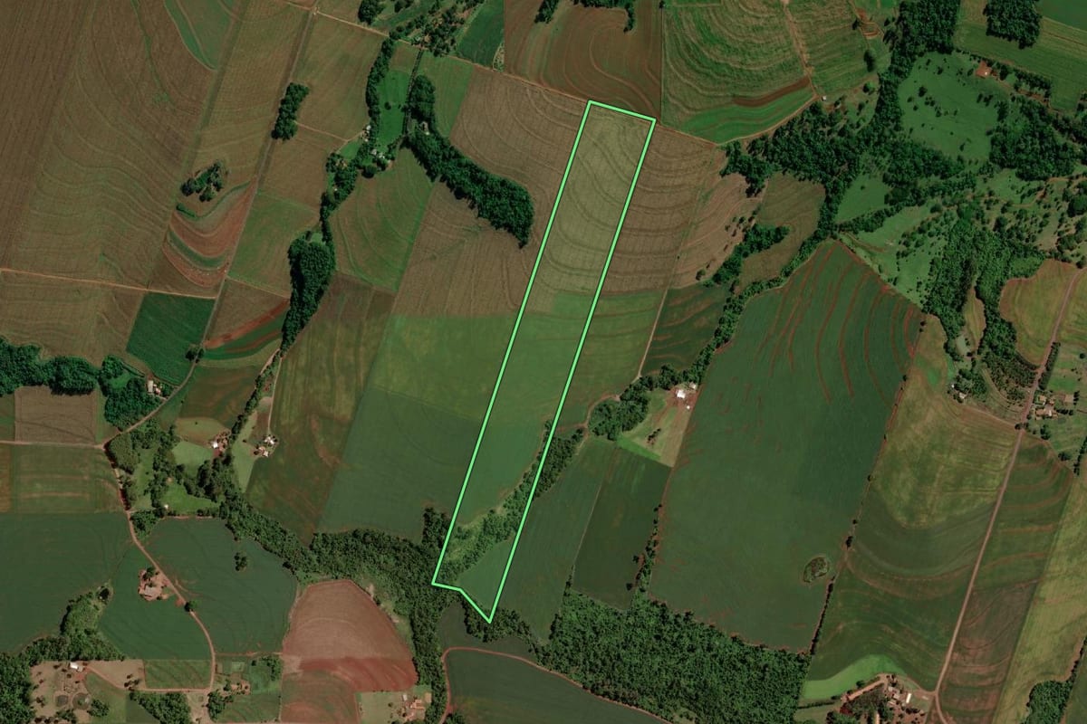 Imagem de satélite do imóvel rural em Mercedes (PR), com o contorno declarado no CAR desenhado por cima.