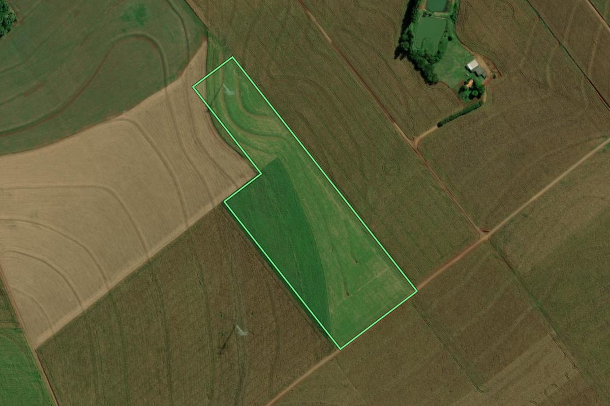 Imagem de satélite do imóvel rural em Mercedes (PR), com o contorno declarado no CAR desenhado por cima.