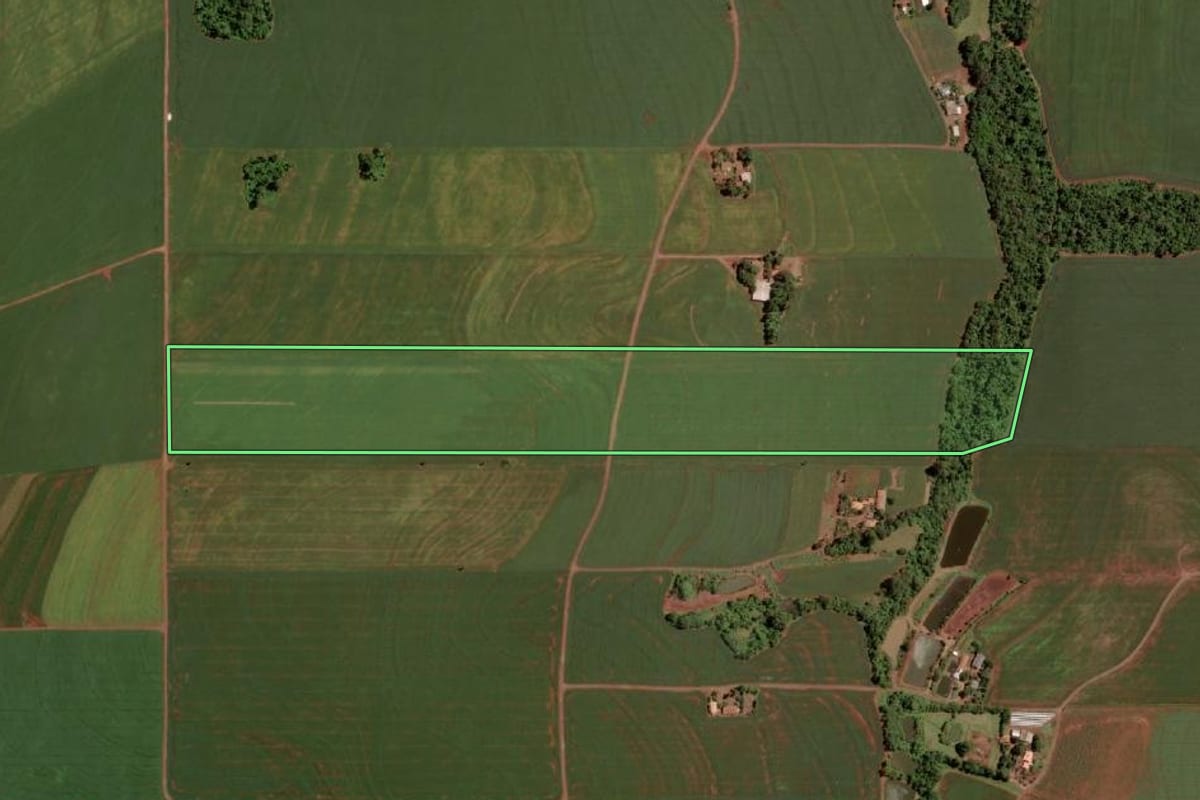 Imagem de satélite do imóvel rural em Mercedes (PR), com o contorno declarado no CAR desenhado por cima.