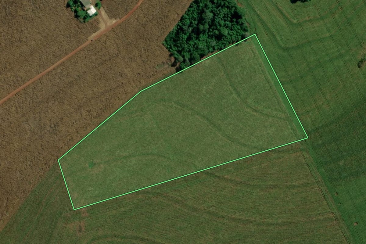 Imagem de satélite do imóvel rural em Mercedes (PR), com o contorno declarado no CAR desenhado por cima.