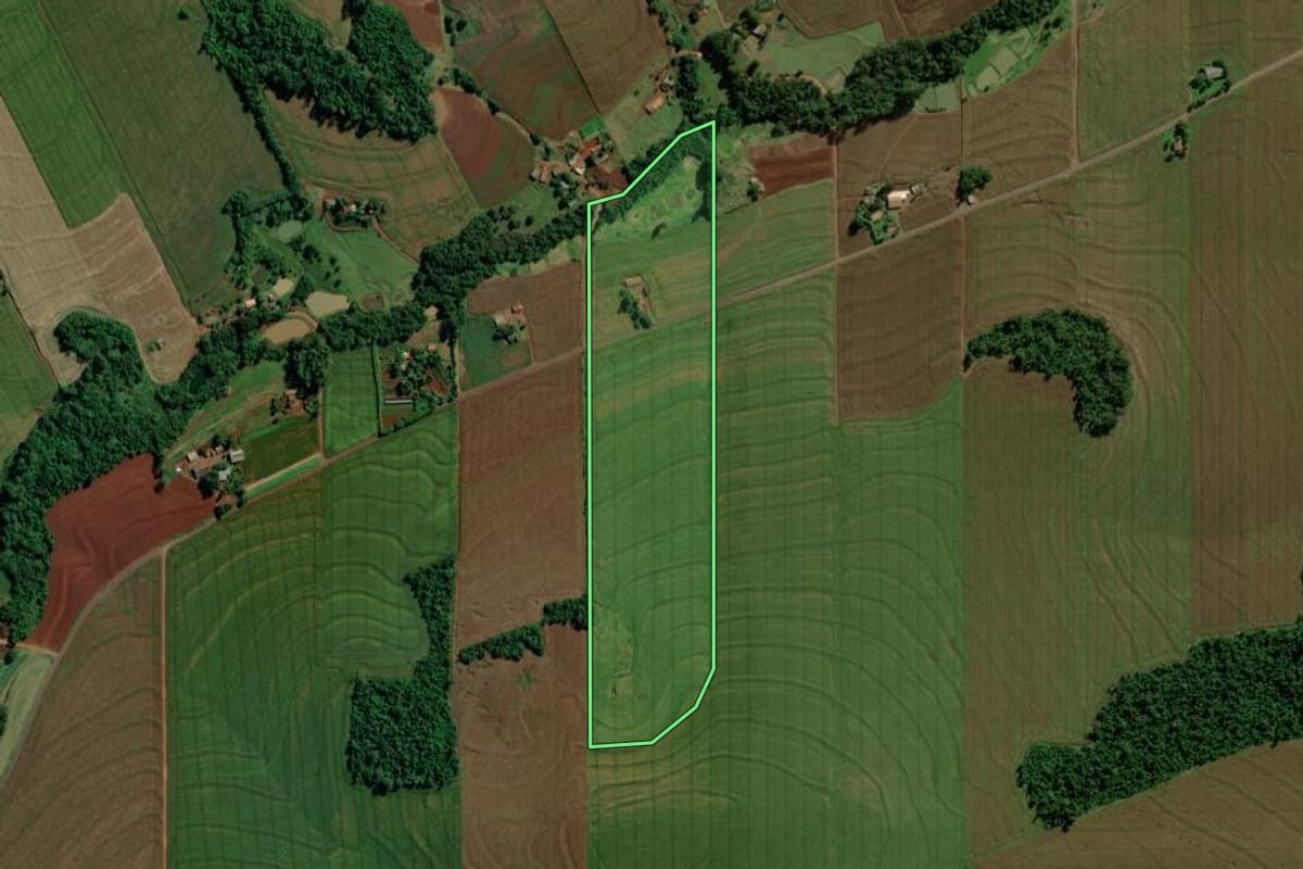 Imagem de satélite do imóvel rural em Mercedes (PR), com o contorno declarado no CAR desenhado por cima.