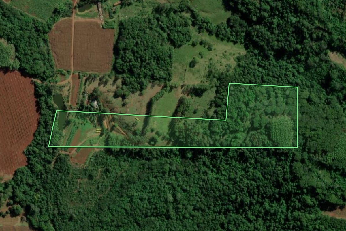 Imagem de satélite do imóvel rural em Mercedes (PR), com o contorno declarado no CAR desenhado por cima.