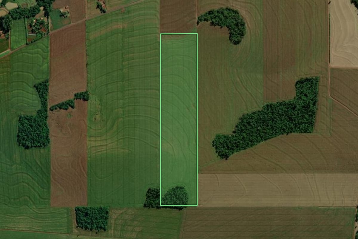 Imagem de satélite do imóvel rural em Mercedes (PR), com o contorno declarado no CAR desenhado por cima.