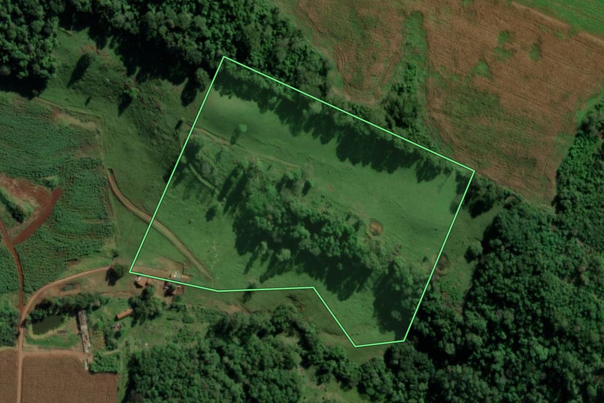 Imagem de satélite do imóvel rural em Mercedes (PR), com o contorno declarado no CAR desenhado por cima.