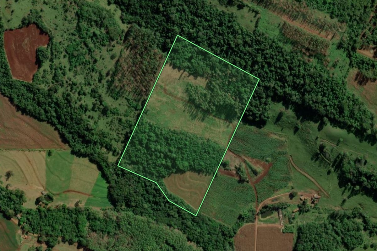 Imagem de satélite do imóvel rural em Mercedes (PR), com o contorno declarado no CAR desenhado por cima.