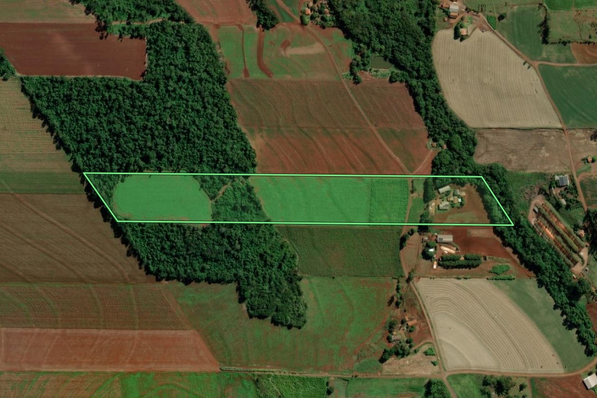 Imagem de satélite do imóvel rural em Mercedes (PR), com o contorno declarado no CAR desenhado por cima.