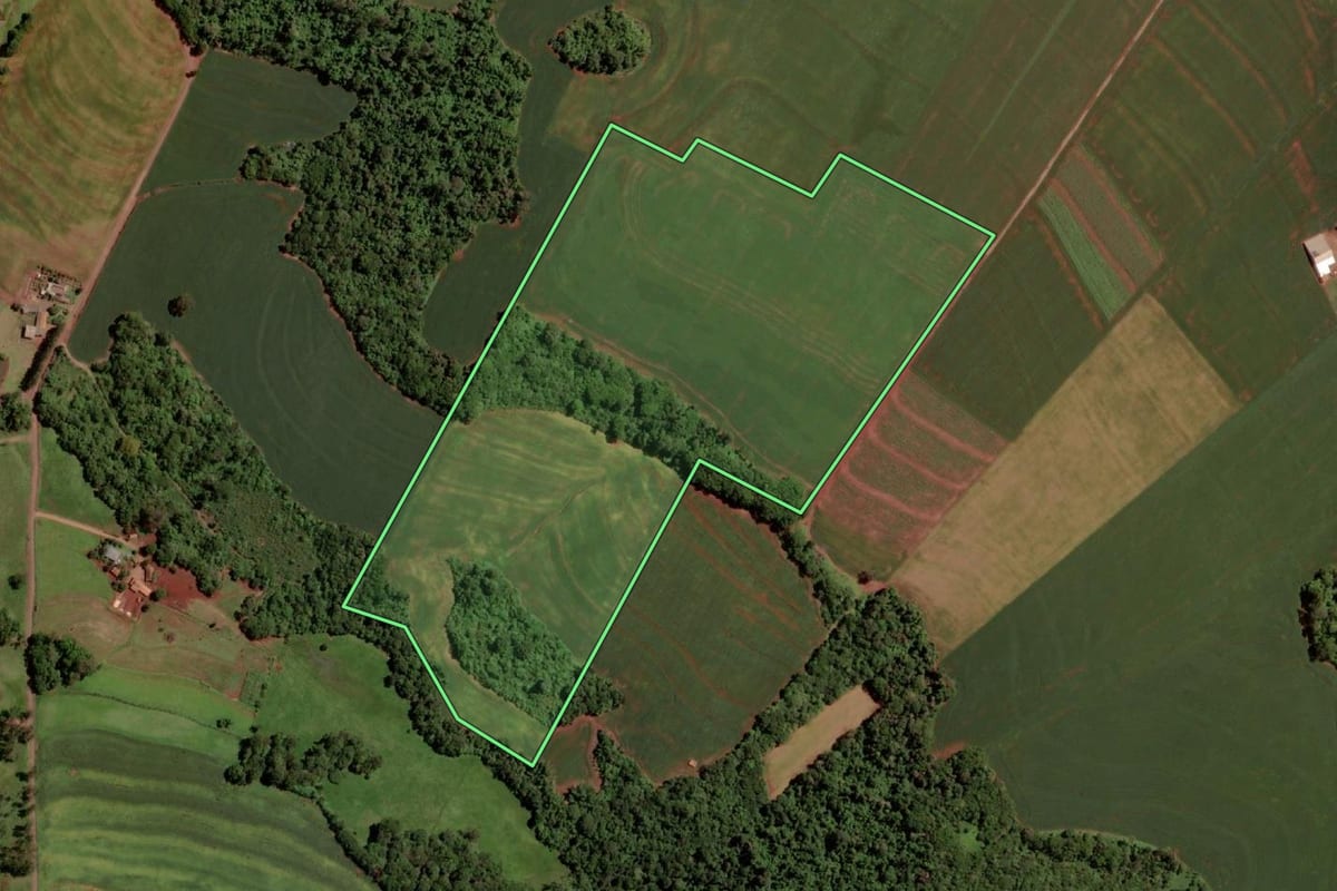 Imagem de satélite do imóvel rural em Mercedes (PR), com o contorno declarado no CAR desenhado por cima.