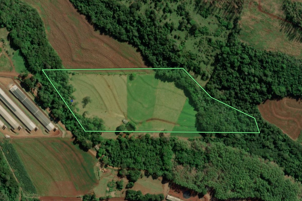Imagem de satélite do imóvel rural em Mercedes (PR), com o contorno declarado no CAR desenhado por cima.