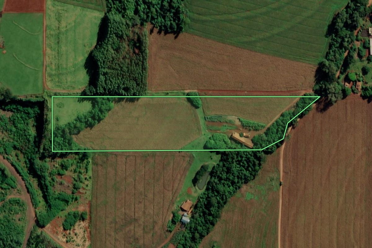 Imagem de satélite do imóvel rural em Mercedes (PR), com o contorno declarado no CAR desenhado por cima.