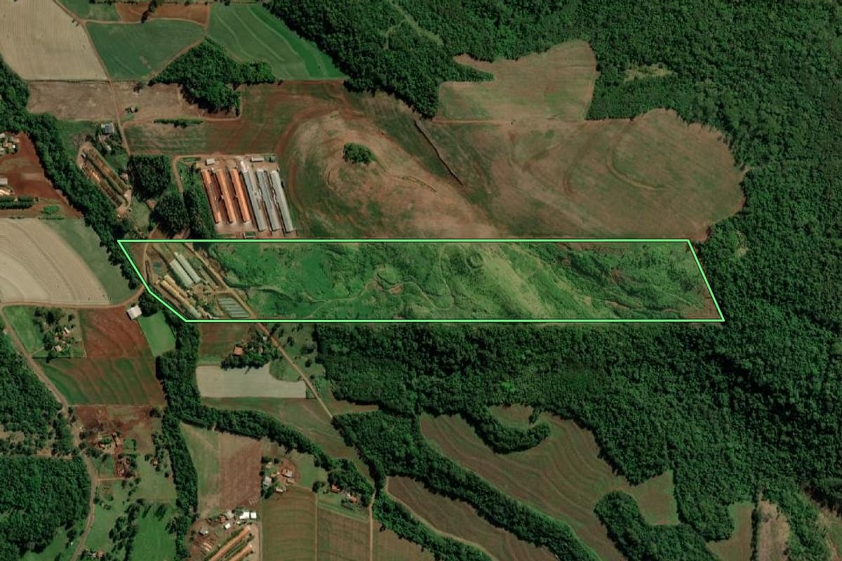 Imagem de satélite do imóvel rural em Mercedes (PR), com o contorno declarado no CAR desenhado por cima.
