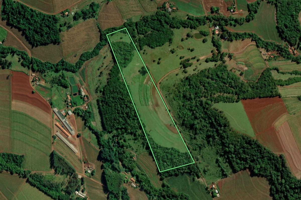 Imagem de satélite do imóvel rural em Mercedes (PR), com o contorno declarado no CAR desenhado por cima.