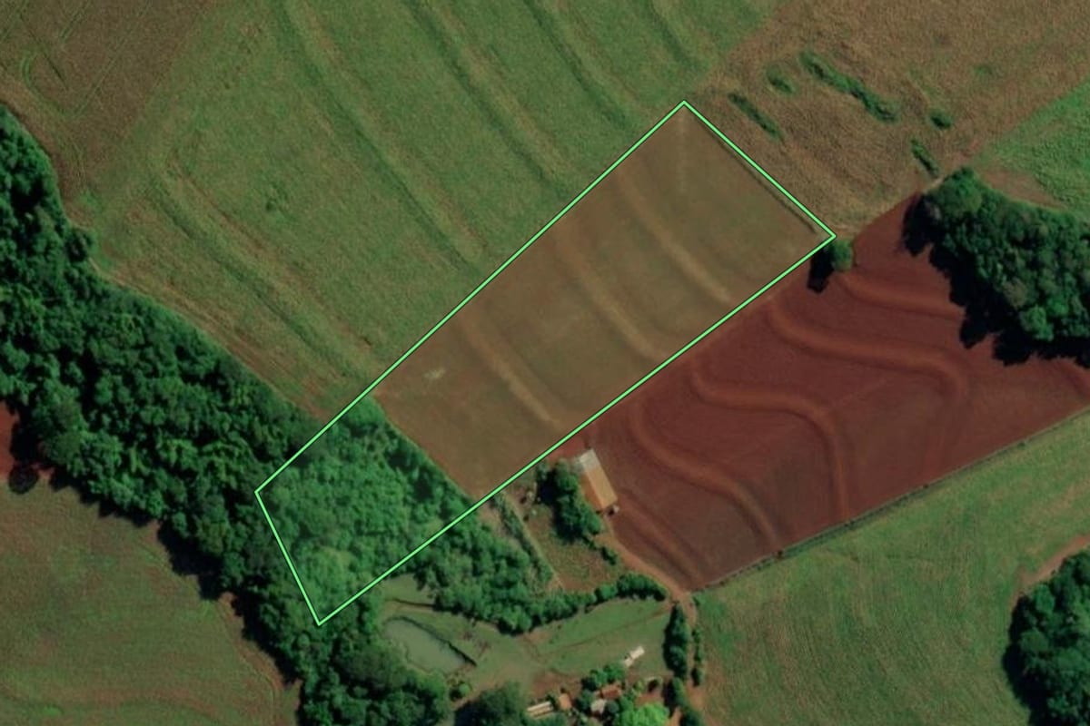 Imagem de satélite do imóvel rural em Mercedes (PR), com o contorno declarado no CAR desenhado por cima.
