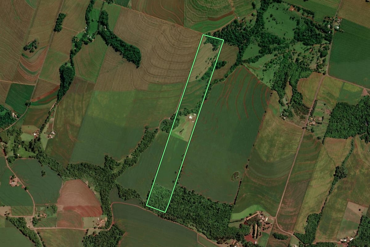 Imagem de satélite do imóvel rural em Mercedes (PR), com o contorno declarado no CAR desenhado por cima.