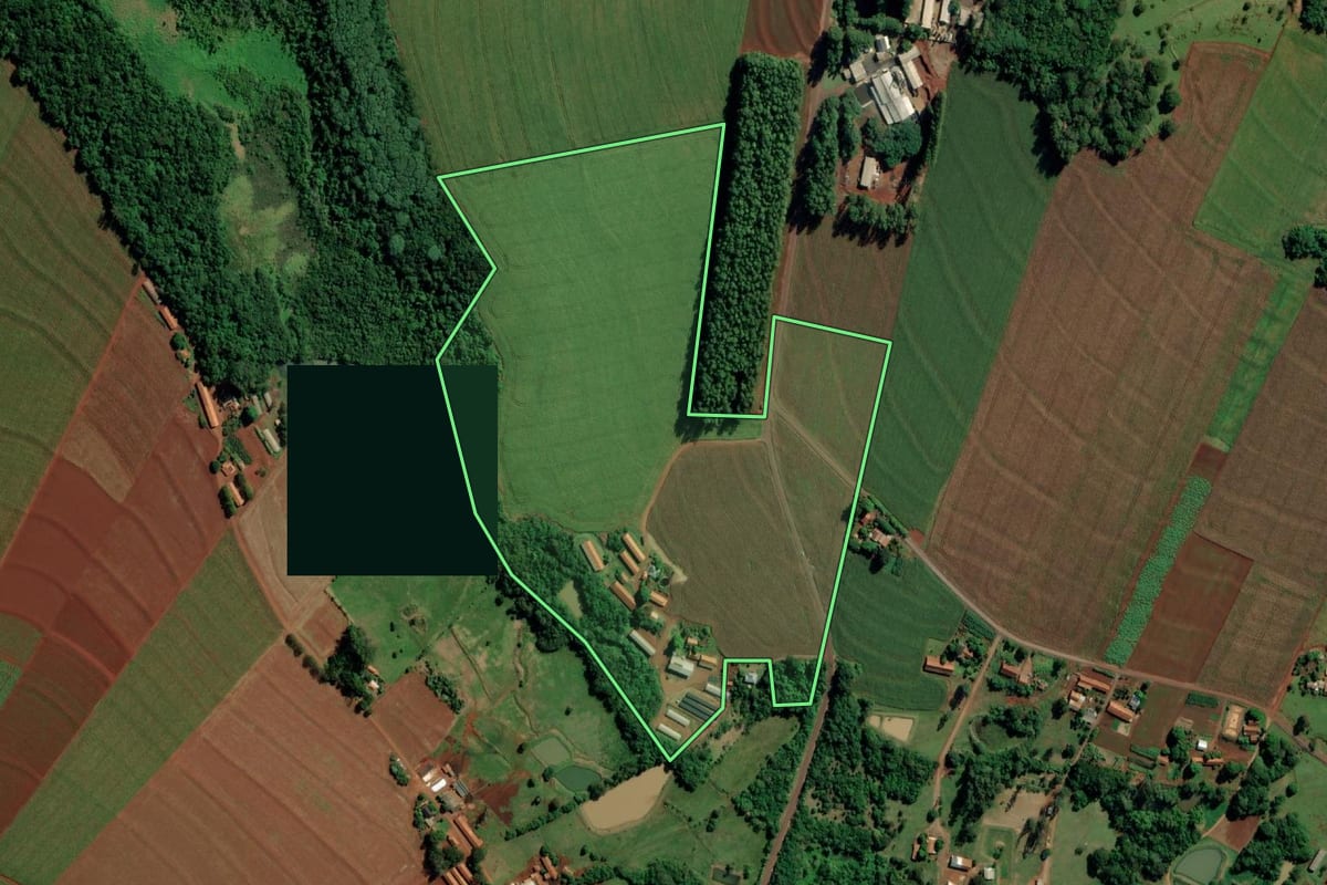 Imagem de satélite do imóvel rural em Mercedes (PR), com o contorno declarado no CAR desenhado por cima.