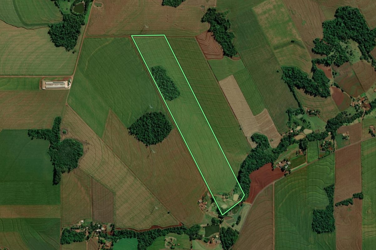 Imagem de satélite do imóvel rural em Mercedes (PR), com o contorno declarado no CAR desenhado por cima.