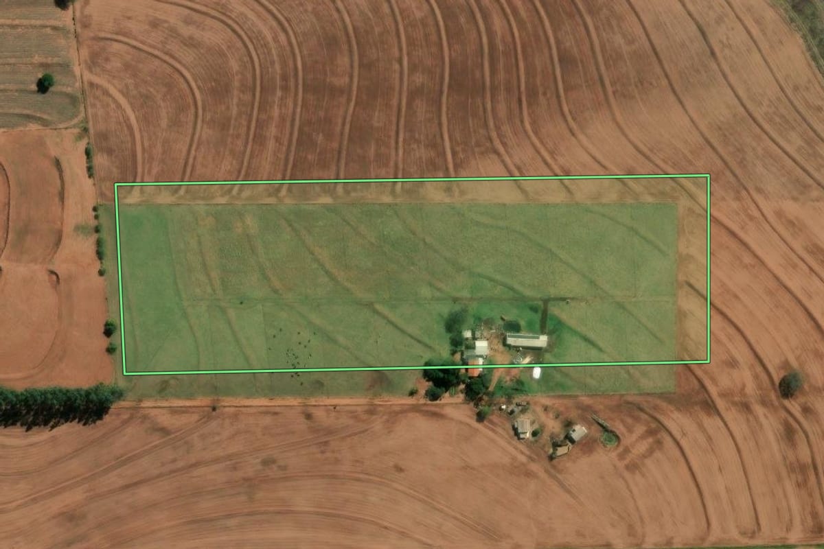 Imagem de satélite do imóvel rural em Mirador (PR), com o contorno declarado no CAR desenhado por cima.