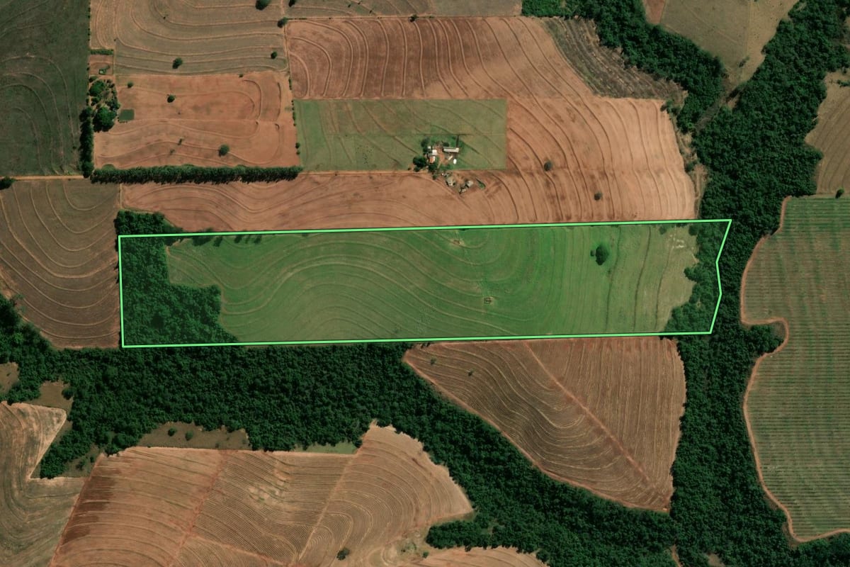 Imagem de satélite do imóvel rural em Mirador (PR), com o contorno declarado no CAR desenhado por cima.