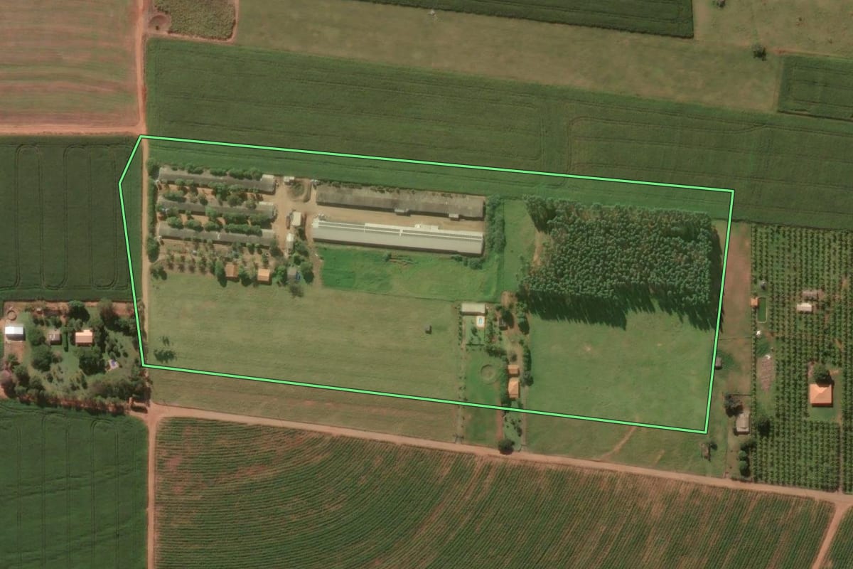 Imagem de satélite do imóvel rural em Miraselva (PR), com o contorno declarado no CAR desenhado por cima.