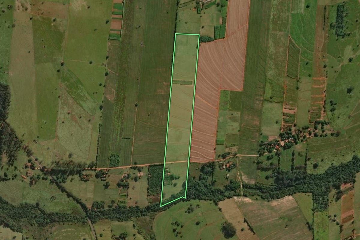 Imagem de satélite do imóvel rural em Miraselva (PR), com o contorno declarado no CAR desenhado por cima.