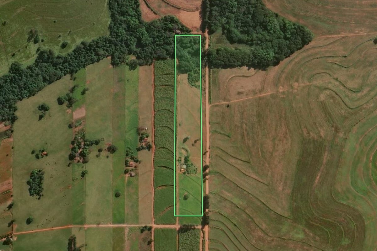Imagem de satélite do imóvel rural em Miraselva (PR), com o contorno declarado no CAR desenhado por cima.