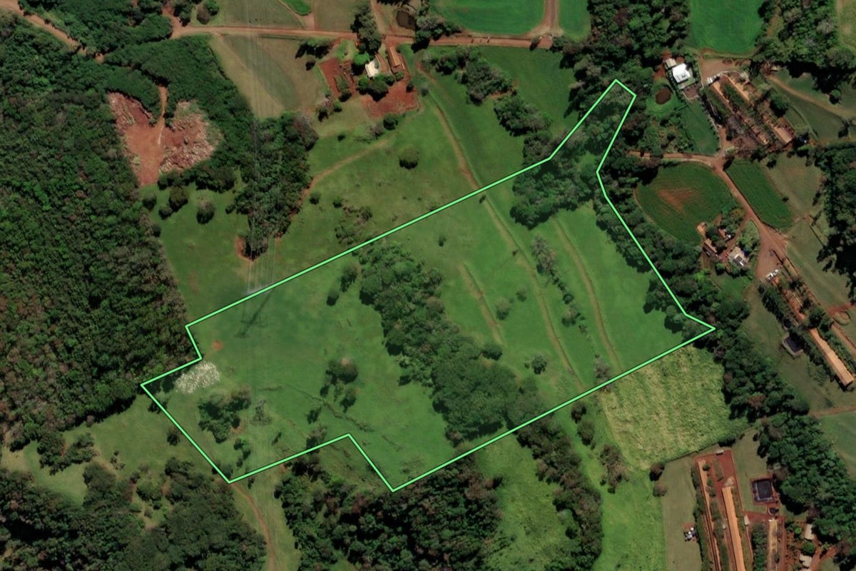 Imagem de satélite do imóvel rural em Missal (PR), com o contorno declarado no CAR desenhado por cima.