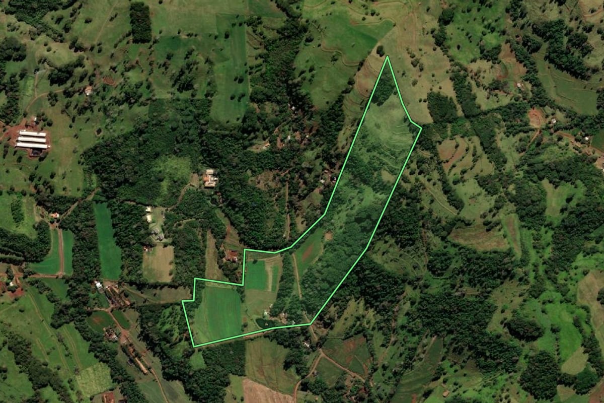 Imagem de satélite do imóvel rural em Missal (PR), com o contorno declarado no CAR desenhado por cima.