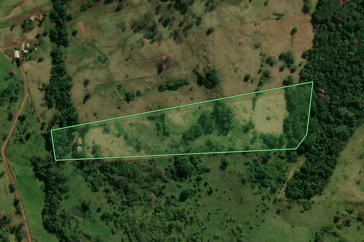 Imagem de satélite do imóvel rural em Missal (PR), com o contorno declarado no CAR desenhado por cima.