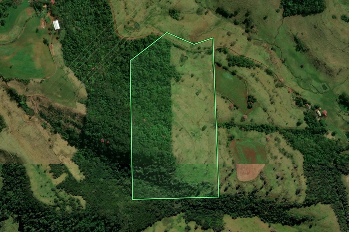 Imagem de satélite do imóvel rural em Missal (PR), com o contorno declarado no CAR desenhado por cima.
