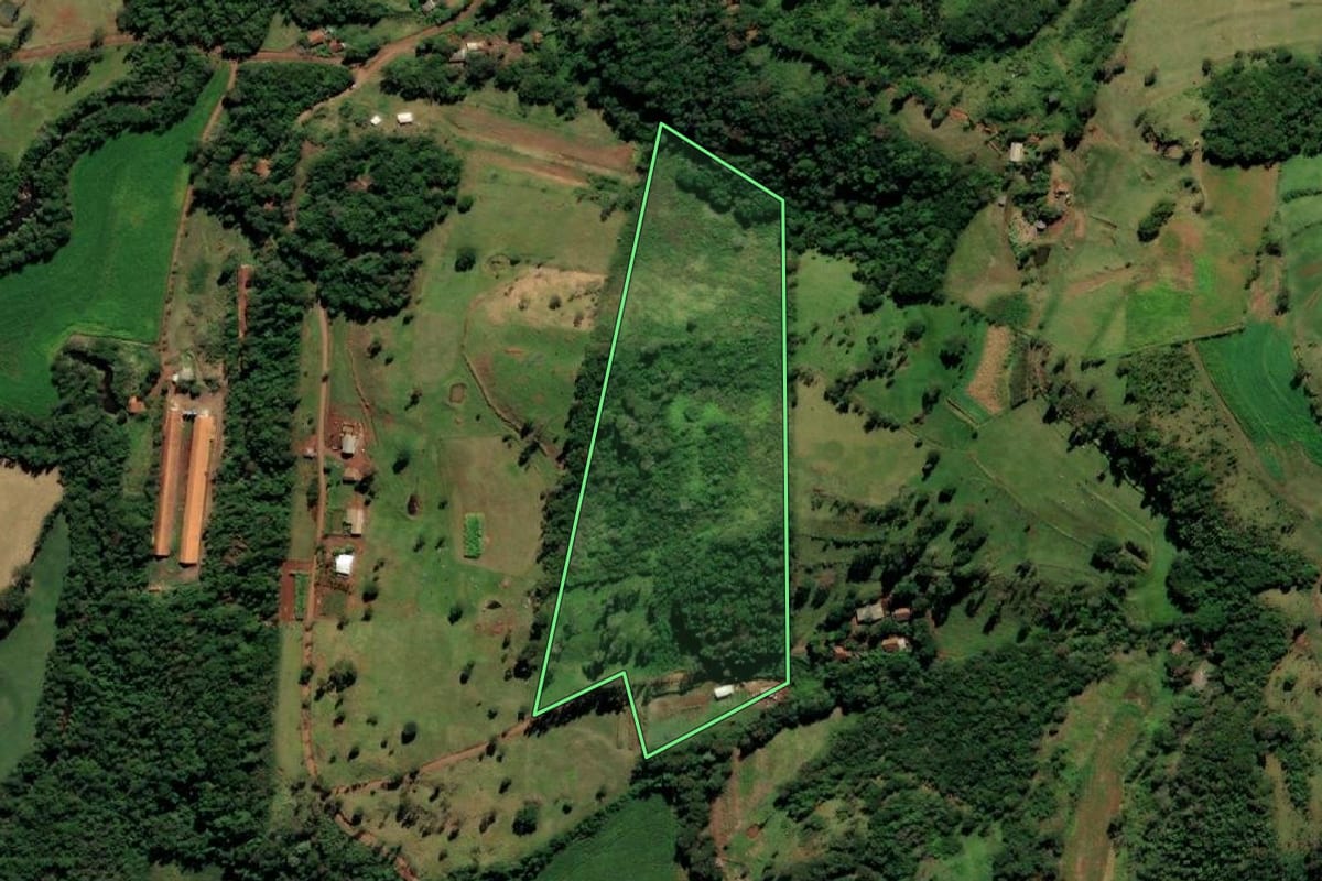 Imagem de satélite do imóvel rural em Missal (PR), com o contorno declarado no CAR desenhado por cima.